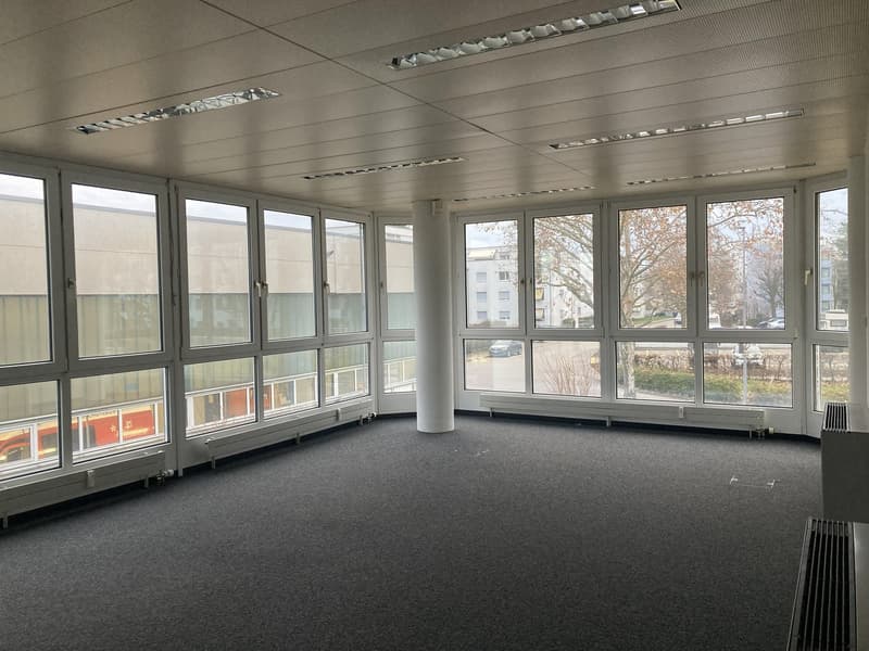 spacious room with large windows, high ceiling, grey carpet, radiators on wall, no furniture