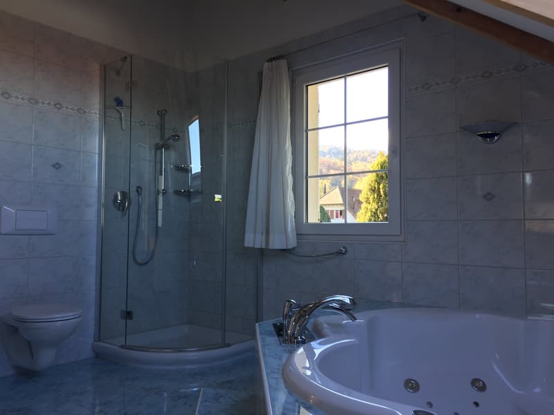 For lovers of beautiful living! (7)