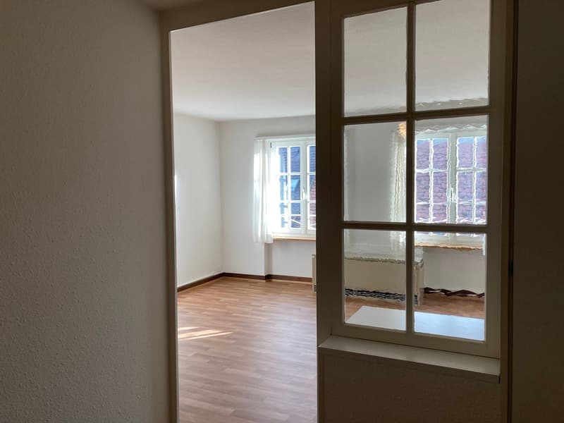 Über den Dächer der Basler-Altstadt! (4)