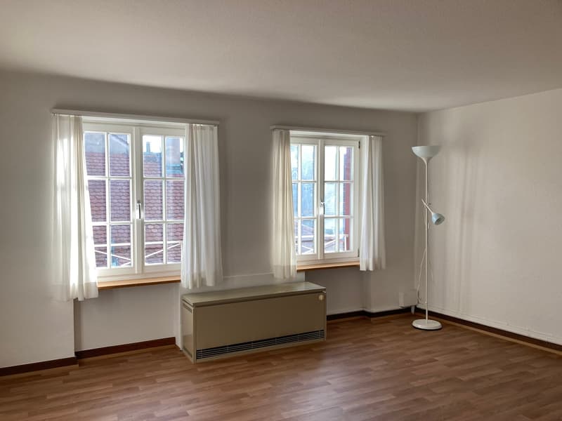 Über den Dächer der Basler-Altstadt! (3)