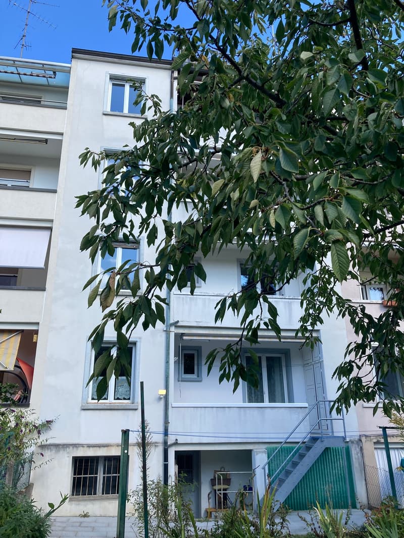 Charmante 3-Zimmerwohnung mit sonnigem Balkon und Zutritt zum Garten! (9)