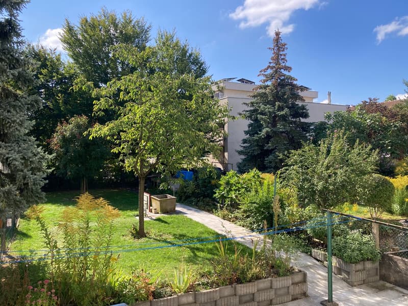 Charmante 3-Zimmerwohnung mit sonnigem Balkon und Zutritt zum Garten! (1)