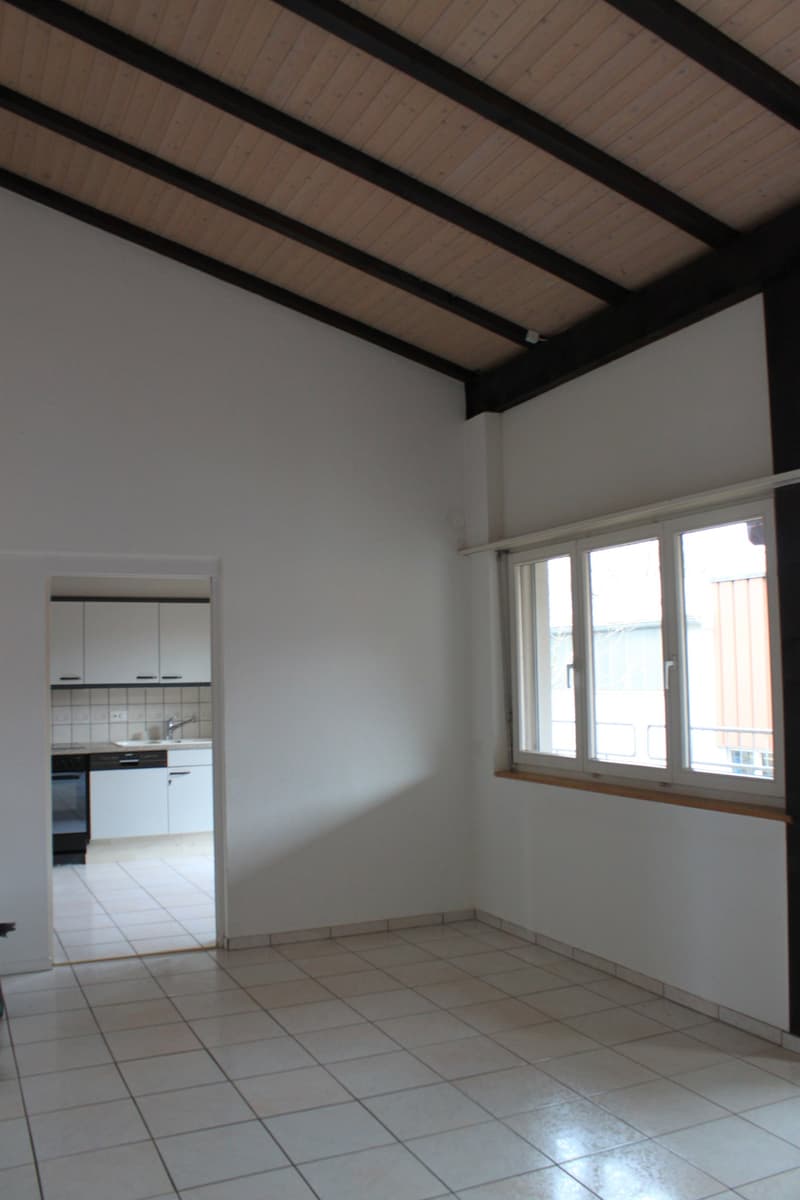 4.5-Zimmer-Wohnung mit Cheminée in Schönenbuch (4)