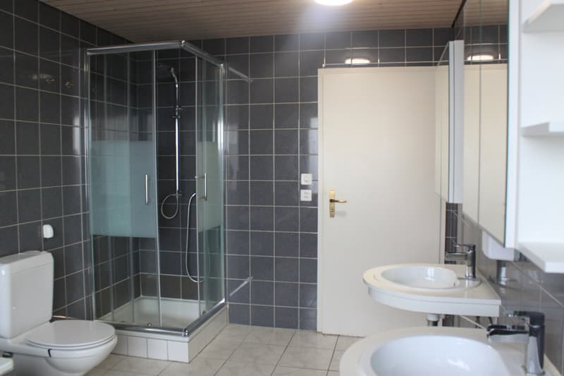 4.5-Zimmer-Wohnung mit Cheminée in Schönenbuch (6)
