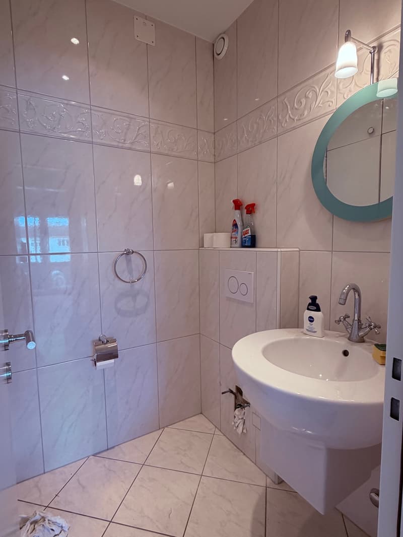 Bright 3-room attic apartment with direct lift access (10)