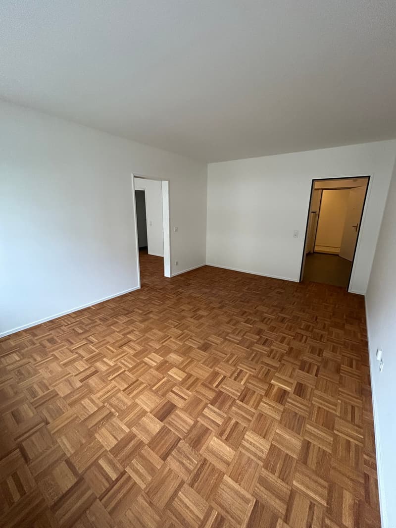 Your 2.5 room apartment directly on the Rhine (5)