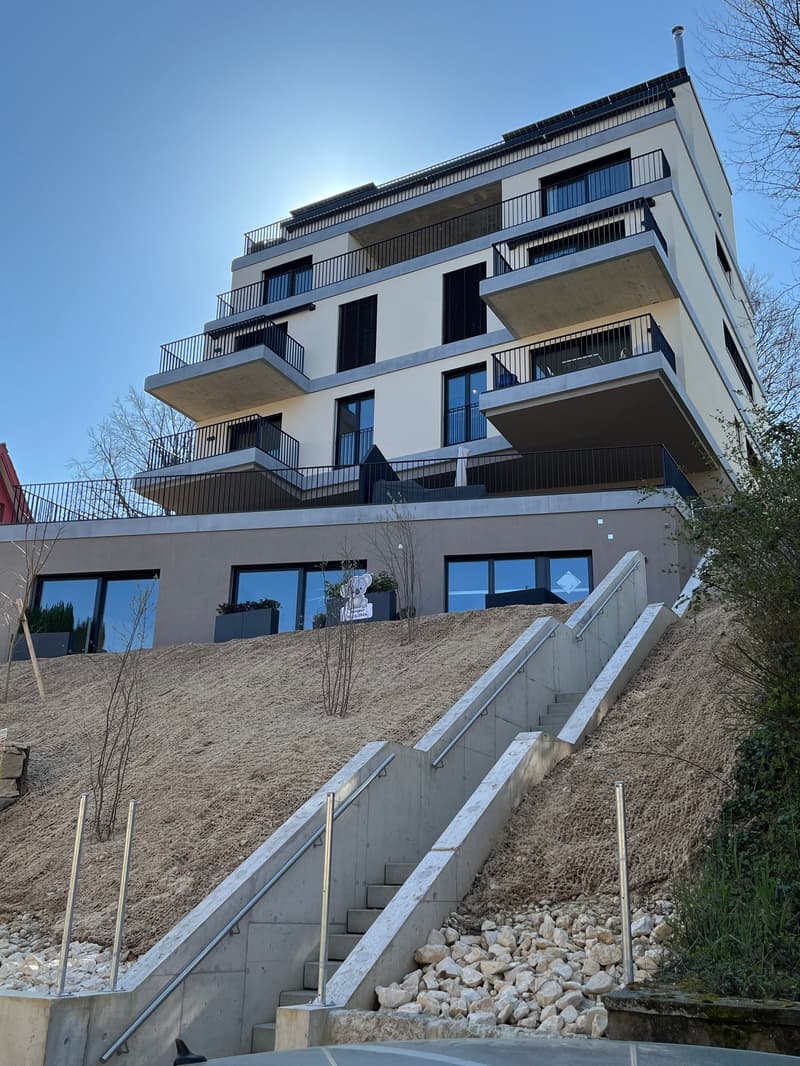 Neubau (2025): 5.5 Zimmer Maisonette - Wohnung mit grosser Terrasse und Aussicht auf Basel (1)