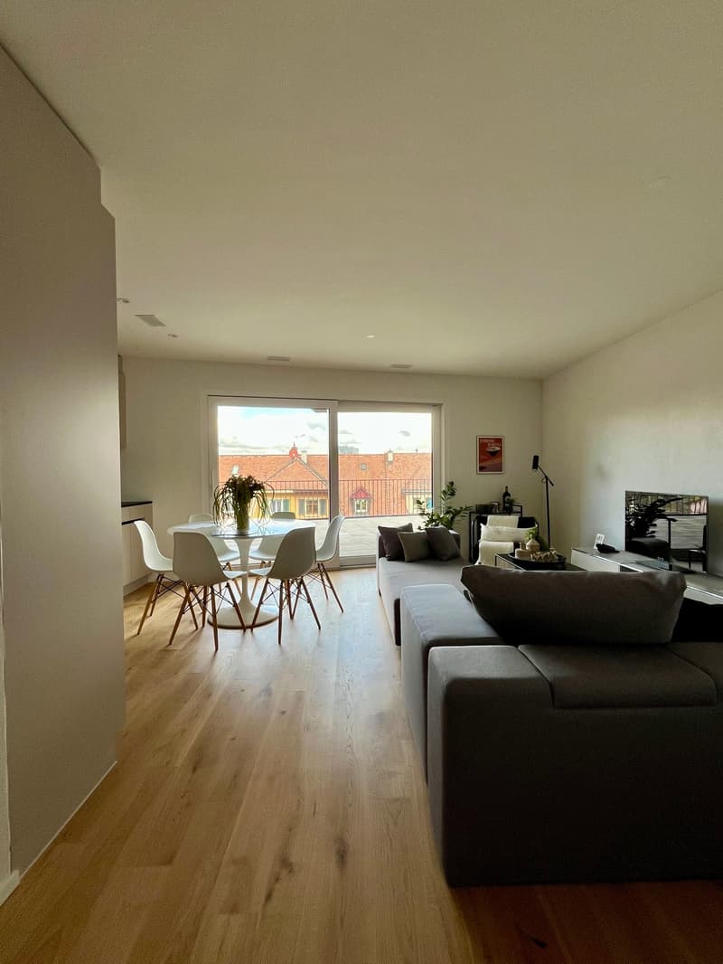 Neubau (2025): 5.5 Zimmer Maisonette - Wohnung mit grosser Terrasse und Aussicht auf Basel (3)