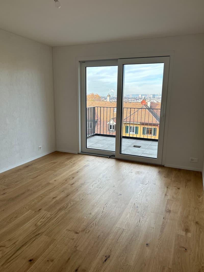 Neubau (2025): 5.5 Zimmer Maisonette - Wohnung mit grosser Terrasse und Aussicht auf Basel (15)