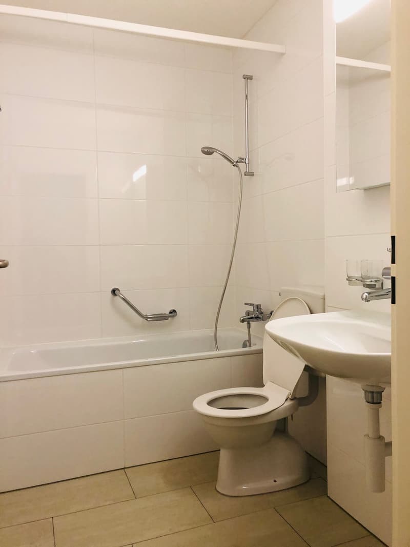 Gemütliche 2-Zimmer-Wohnung in ruhigem Quartier (6)