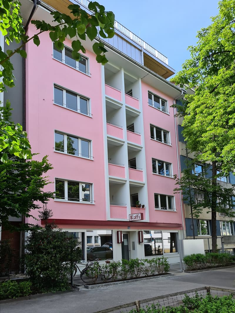 Geräumige und helle 1-Zimmer-Wohnung nahe Zentrum (4)