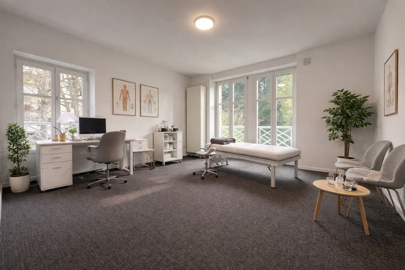 Büro/Praxis in historischer Villa an exklusiver, diskreter Stadtlage (4)