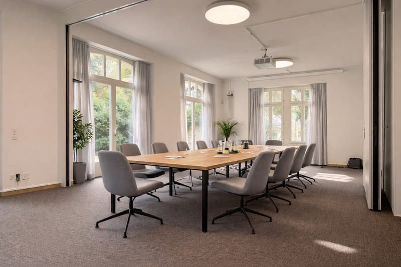 Büro/Praxis in historischer Villa an exklusiver, diskreter Stadtlage (2)