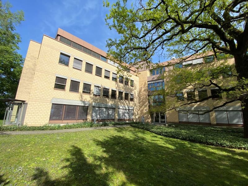 Attraktive Einzelbüros an ruhiger Lage im Gellertquartier (4)