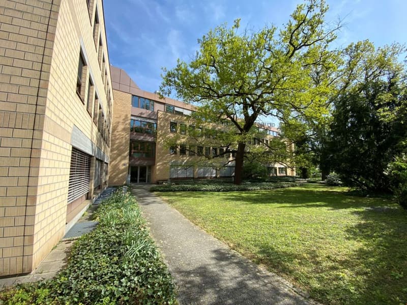 Attraktive Einzelbüros an ruhiger Lage im Gellertquartier (1)