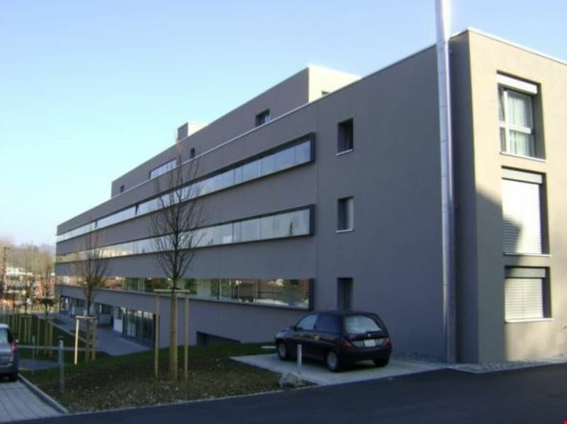 Appartement en attique moderne et ensoleillé de 3,5 pièces avec grande terrasse (2)