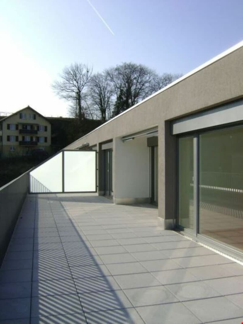 Appartement en attique moderne et ensoleillé de 3,5 pièces avec grande terrasse (4)