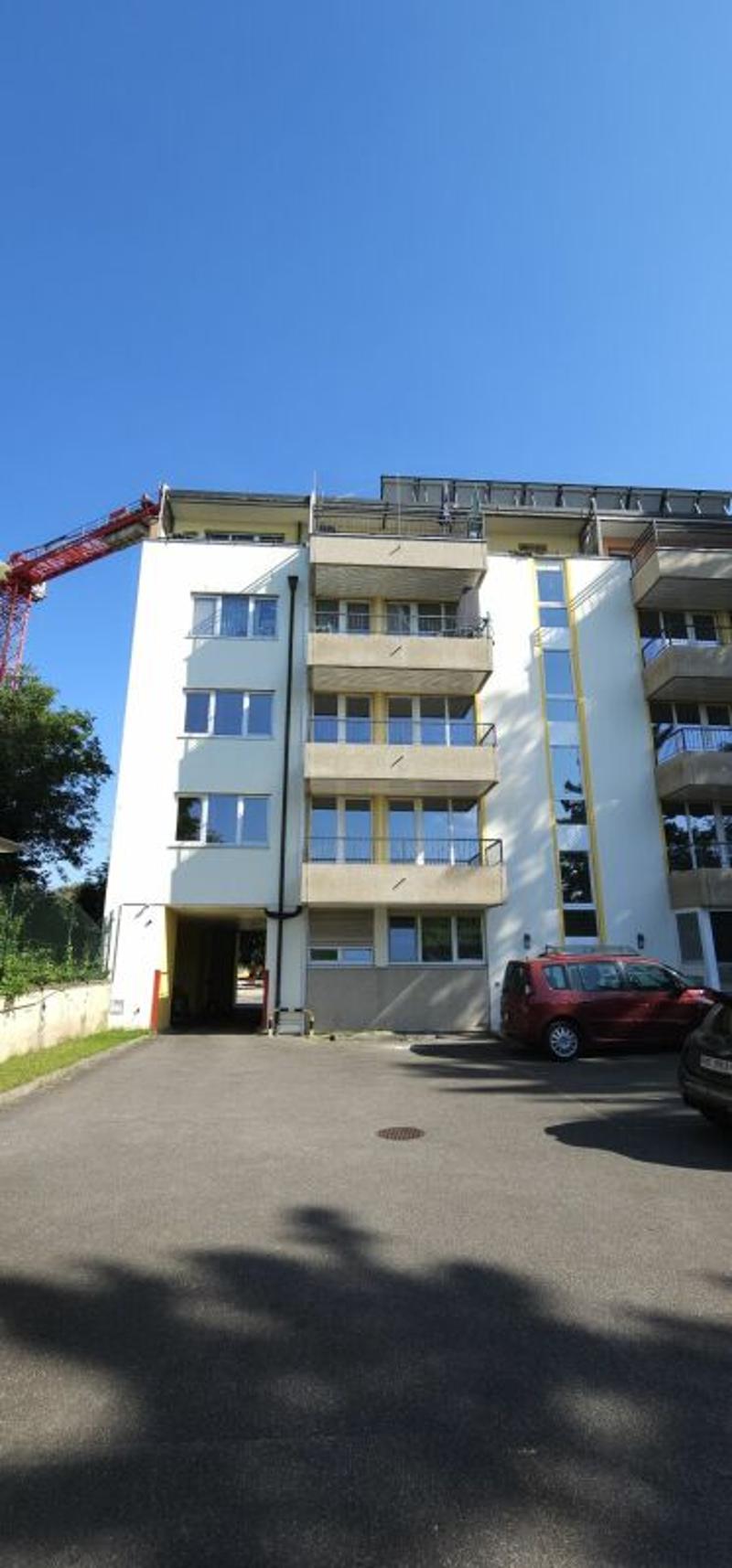 Renovated 5-room apartment in a well-connected location (1)