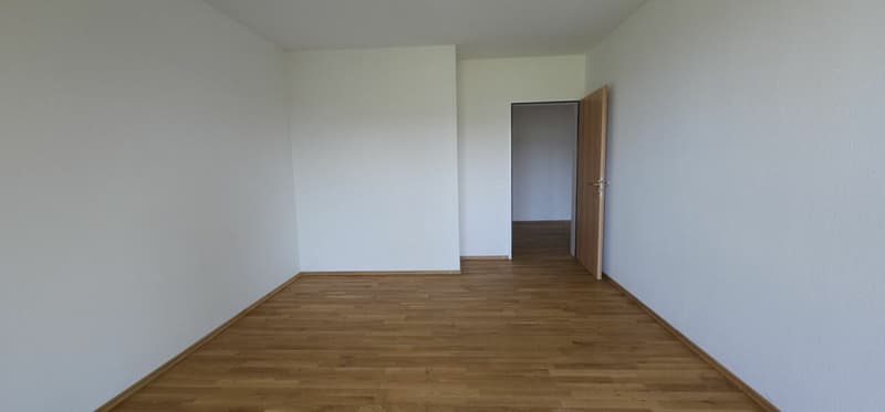 Renovated 5-room apartment in a well-connected location (3)