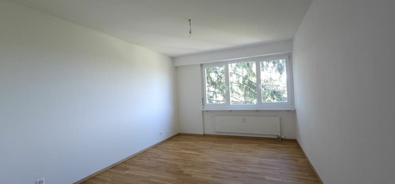 Renovated 5-room apartment in a well-connected location (8)