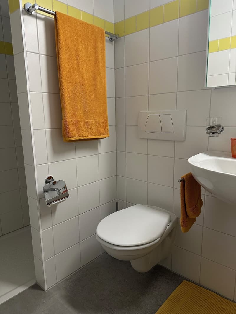 TOP Gelegenheit - 2.5 Zimmerwohnung im Herzen von Locarno (6)