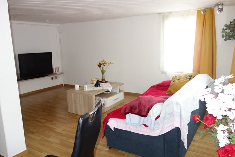 Appartamento di 4 locali in una casa a 2 famiglie (9)
