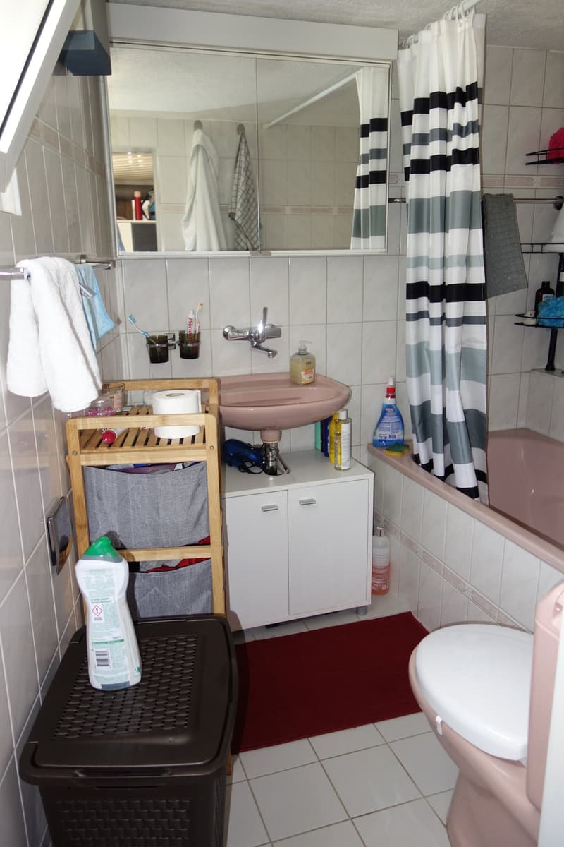 Appartamento di 4 locali in una casa a 2 famiglie (12)