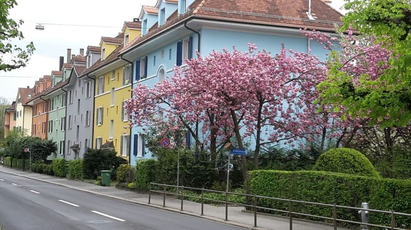 zentrale 2½ Zimmer-Dachwohnung, moderne Küche und Bad (11)