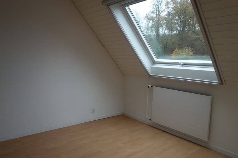 zentrale 2½ Zimmer-Dachwohnung, moderne Küche und Bad (6)