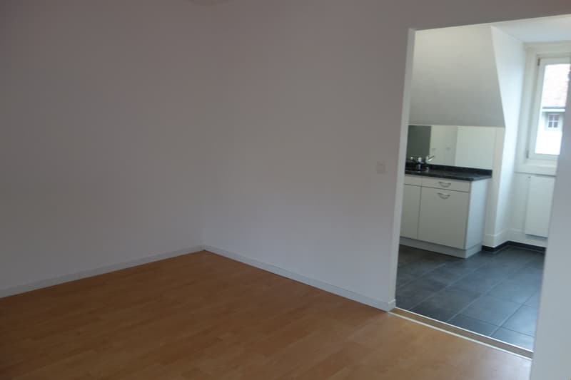 zentrale 2½ Zimmer-Dachwohnung, moderne Küche und Bad (8)