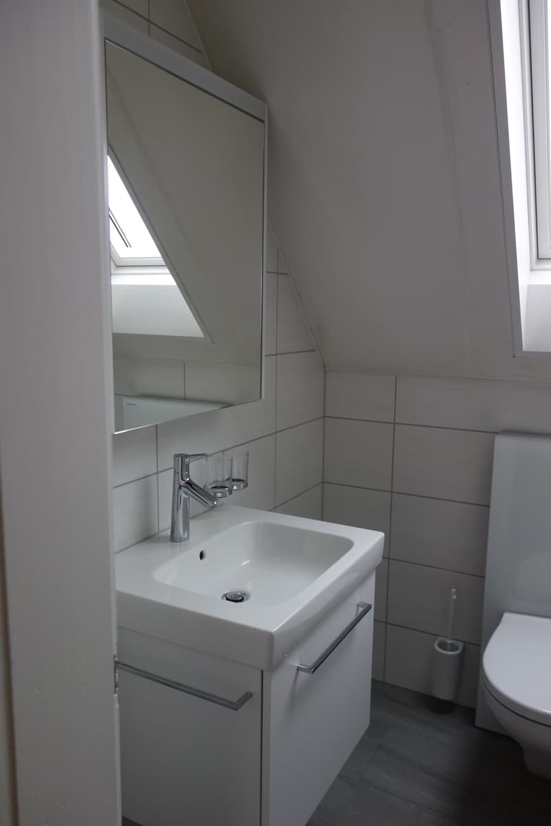 zentrale 2½ Zimmer-Dachwohnung, moderne Küche und Bad (4)
