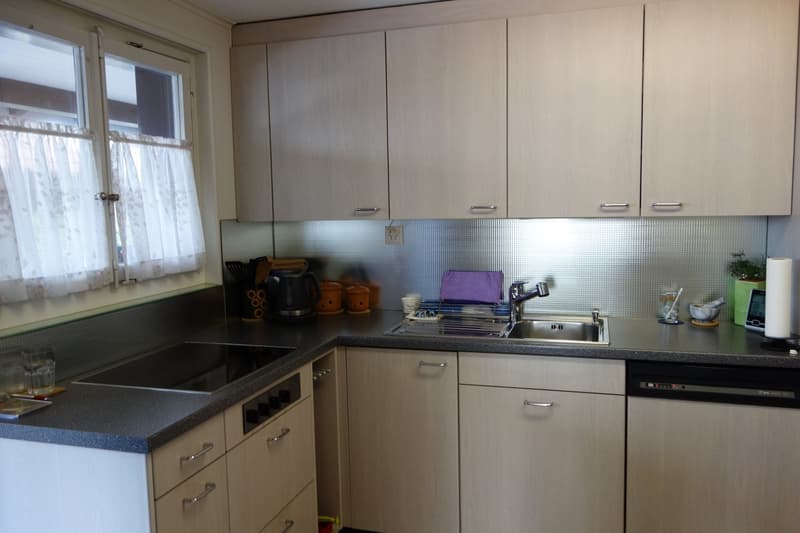 4-Zimmer-Wohnung mit grosser Terrasse (1)