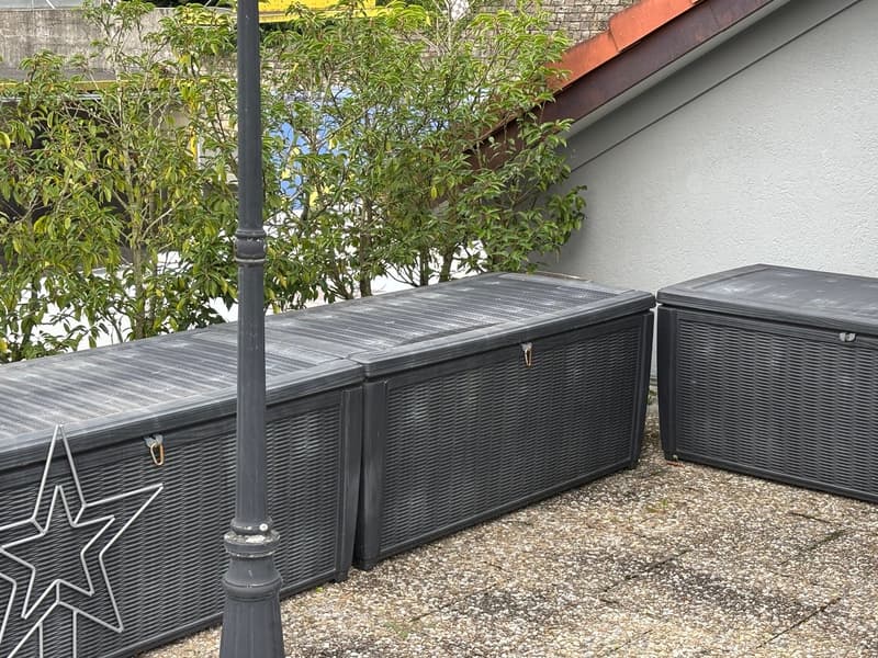 4-Zimmer-Wohnung mit grosser Terrasse (3)