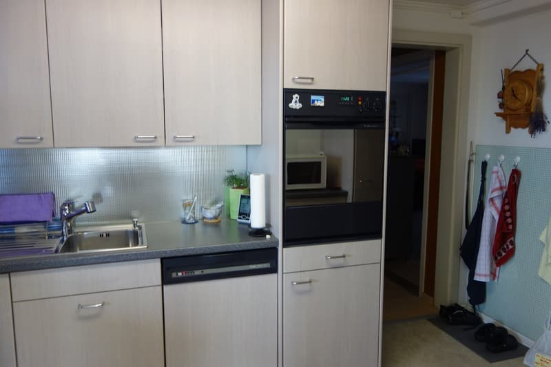 4-Zimmer-Wohnung mit grosser Terrasse (4)