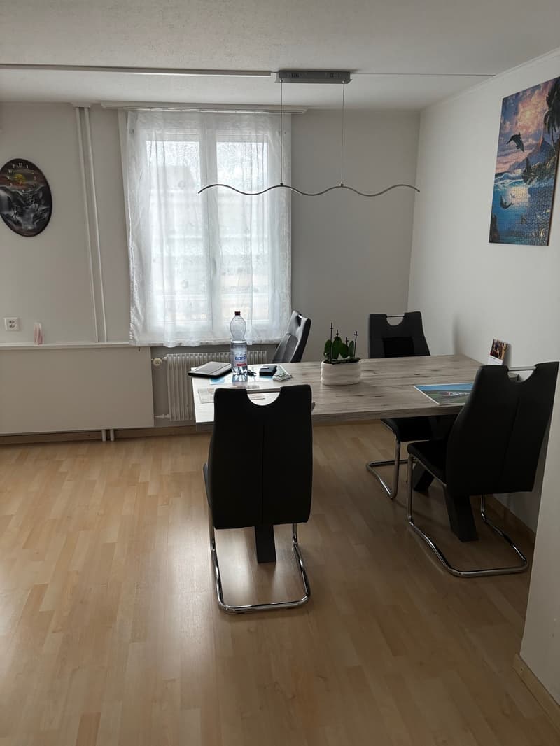 4-Zimmer-Wohnung mit grosser Terrasse (8)