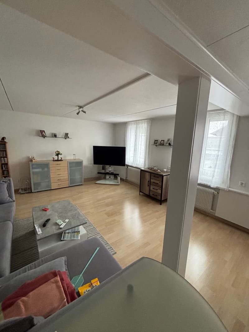 4-Zimmer-Wohnung mit grosser Terrasse (7)