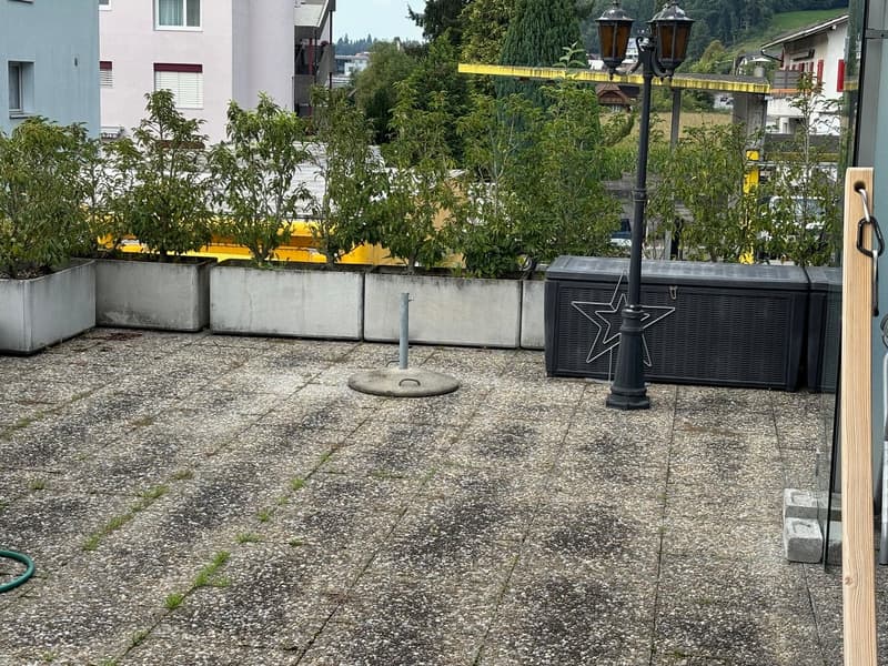 4-Zimmer-Wohnung mit grosser Terrasse (2)