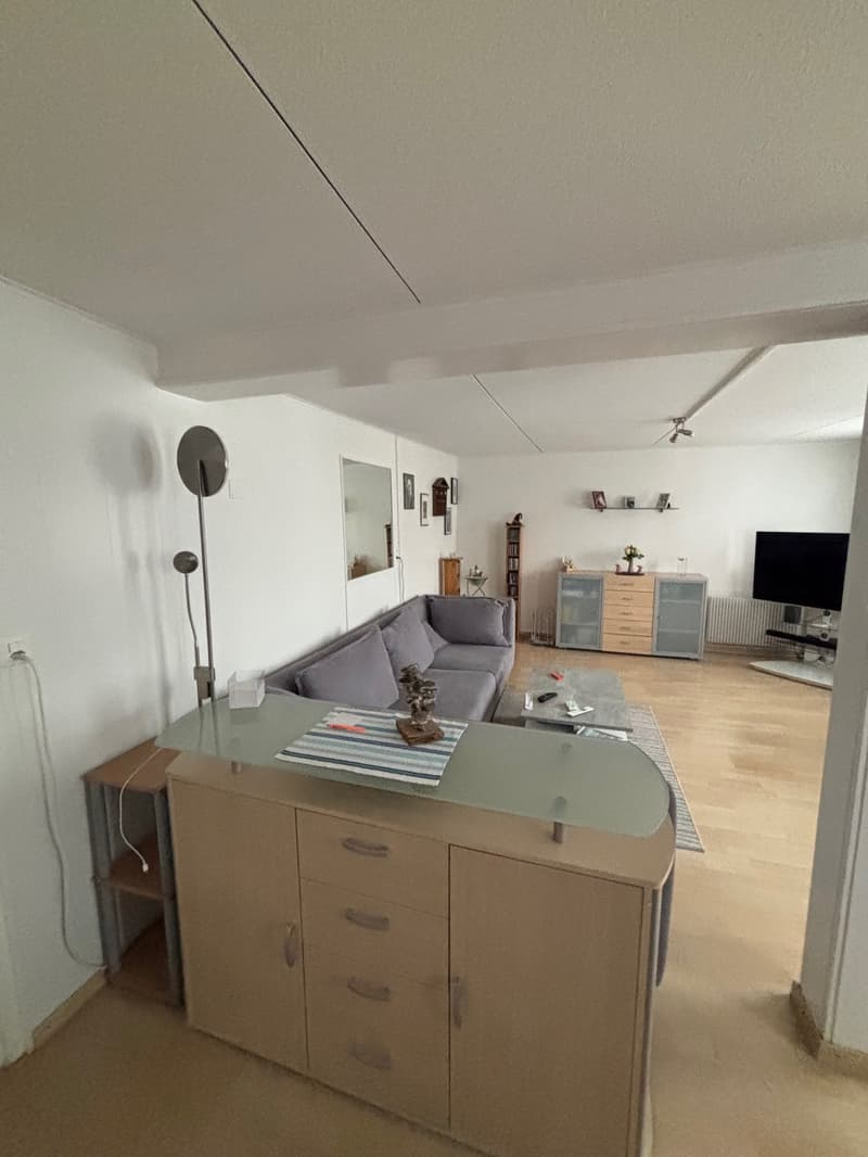 4-Zimmer-Wohnung mit grosser Terrasse (6)