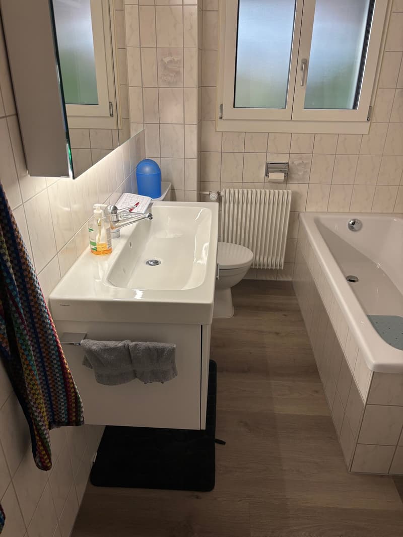 4-Zimmer-Wohnung mit grosser Terrasse (9)