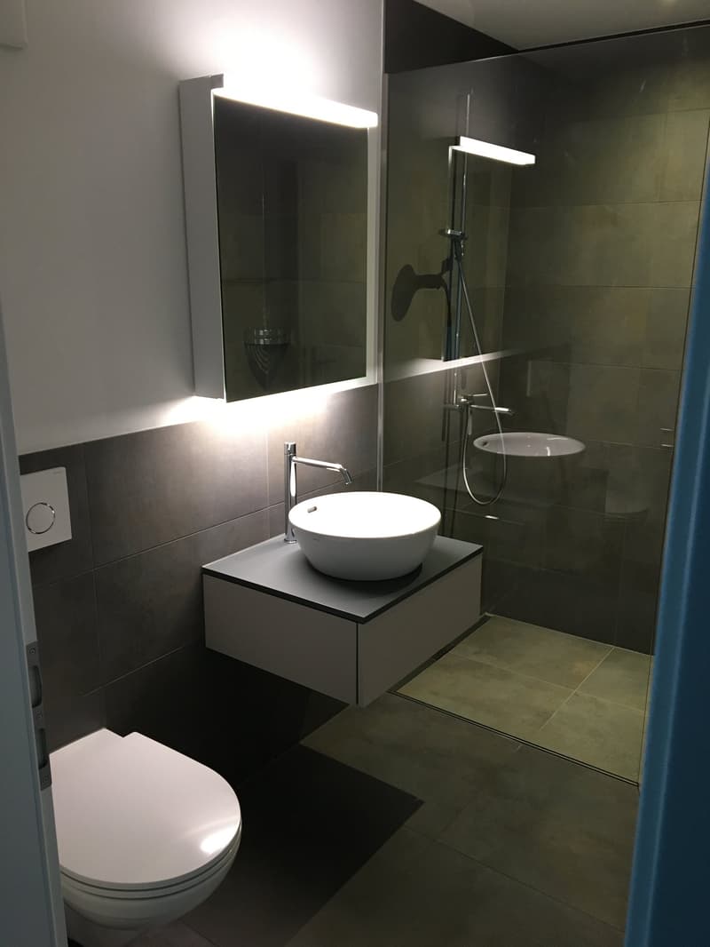 Traumhafte Wohnung im Berner Oberland zu vermieten als 1. Wohnung (7)