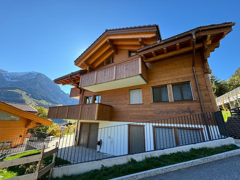 Traumhafte Wohnung im Berner Oberland zu vermieten als 1. Wohnung (1)