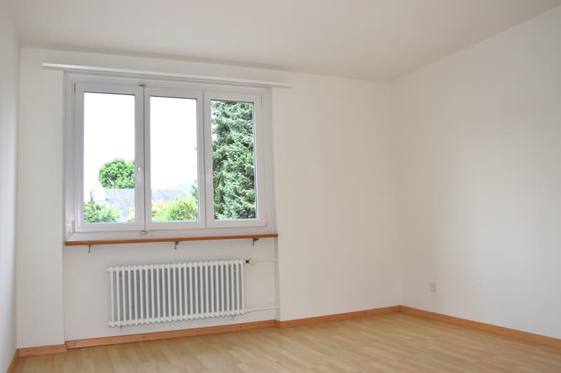 empty room, white walls, wooden floor, white radiator, large window