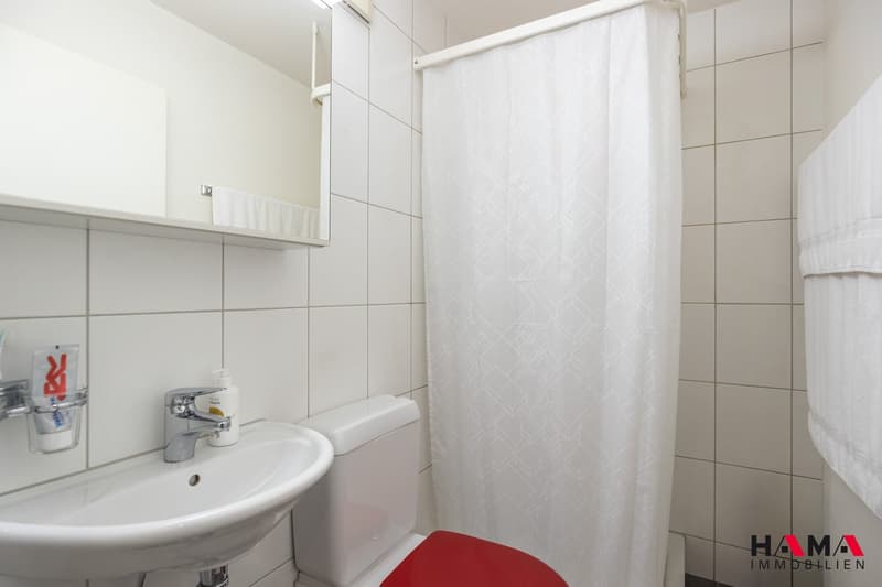 Votre nouveau foyer au cœur de Zofingen (14)