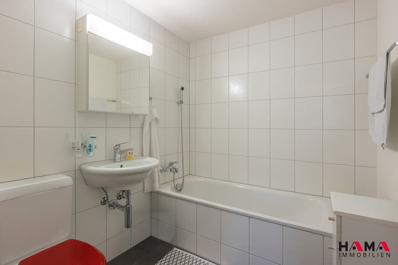Votre nouveau foyer au cœur de Zofingen (13)