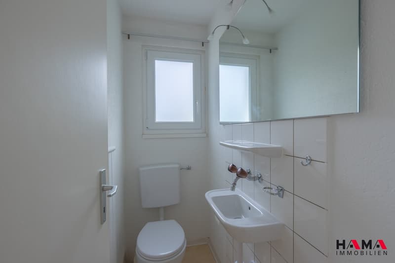 Geräumiges 6.5-Zimmer-Einfamilienhaus mit Sauna an bester Lage in Zofingen (8)
