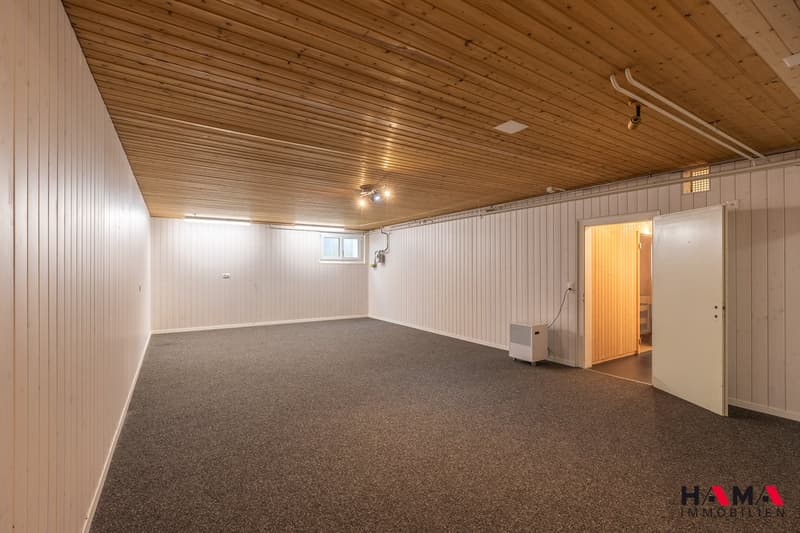 Geräumiges 6.5-Zimmer-Einfamilienhaus mit Sauna an bester Lage in Zofingen (19)