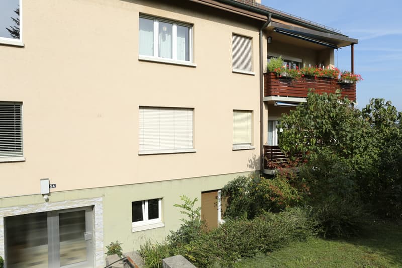Renovierte 2-Zimmerwohnung in Allschwil (1)