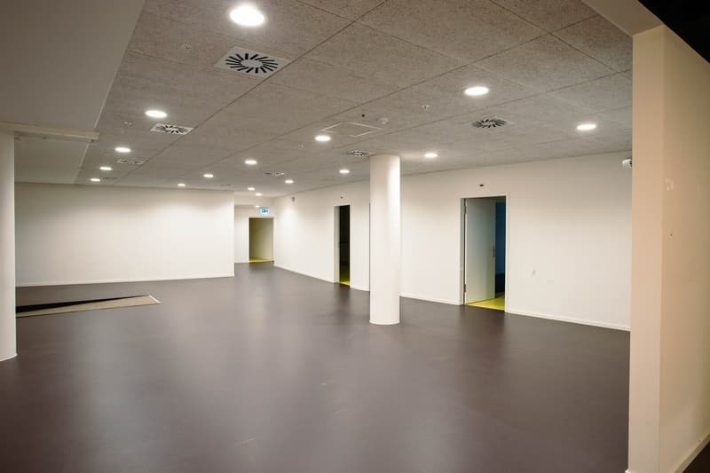 Modern practice or fitness space in central Basel location (3)