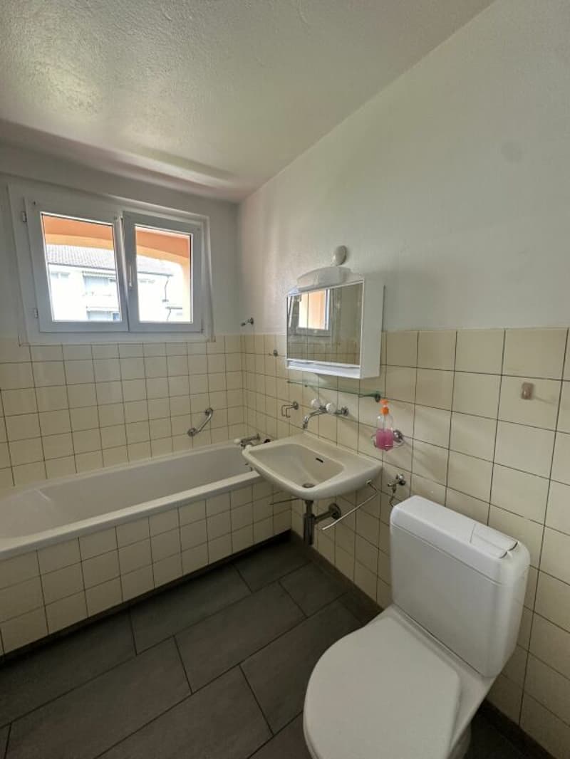 Appartamento di 3½ locali in affitto! (6)