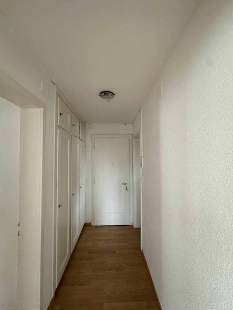 Appartamento di 3½ locali in affitto! (4)